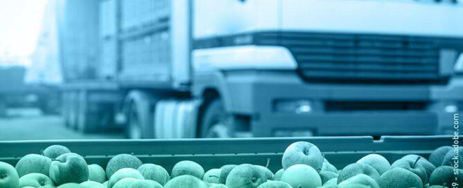 es alimentos transporte web 900x600px 1