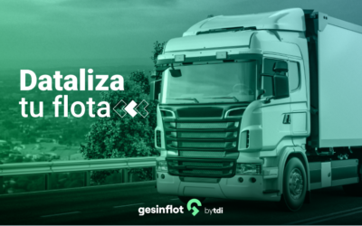 Gesinflot en Alemania: La solución para la gestión de flotas de transporte en Europa.
