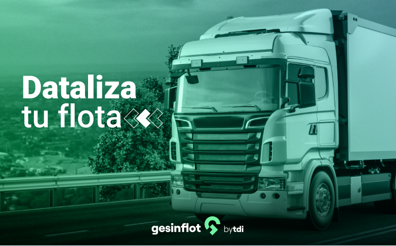 Solución de gestión de flotas de transporte en Europa